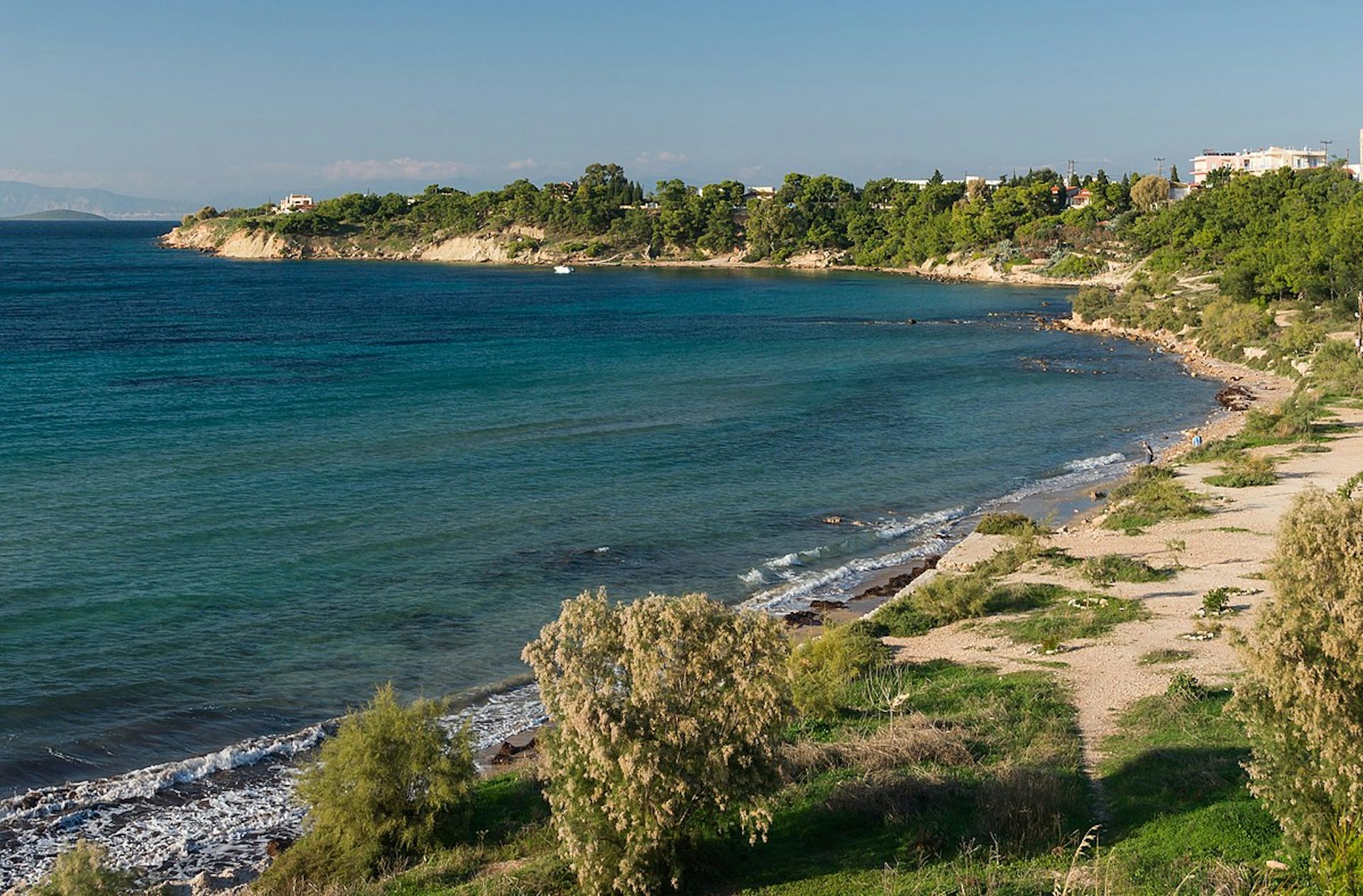 The coastline of Aegina