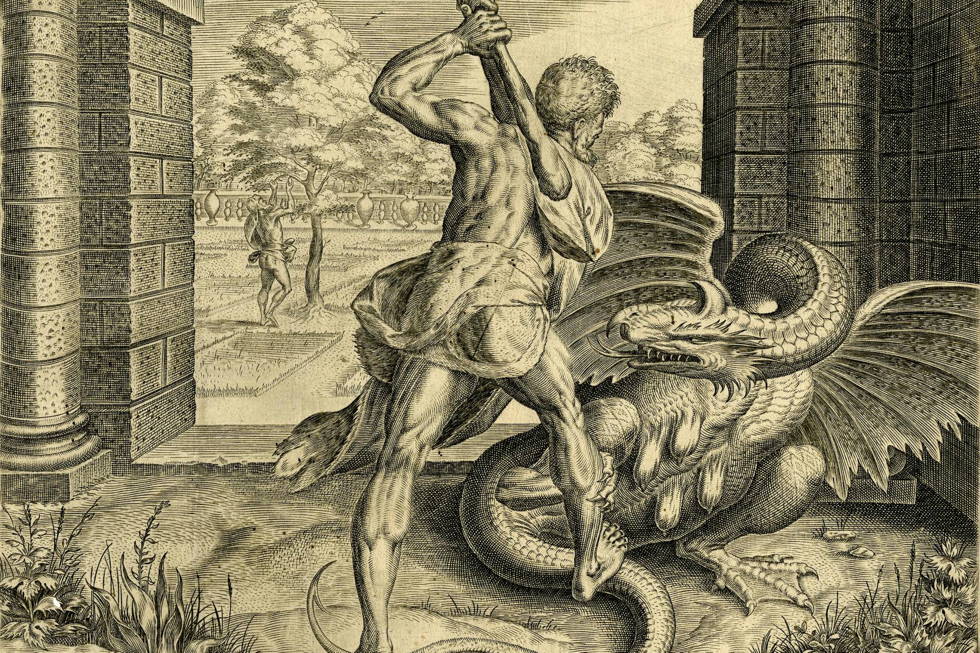 Hercules slaying the dragon Ladon by Cornelis Cort, after Frans Floris (1563)