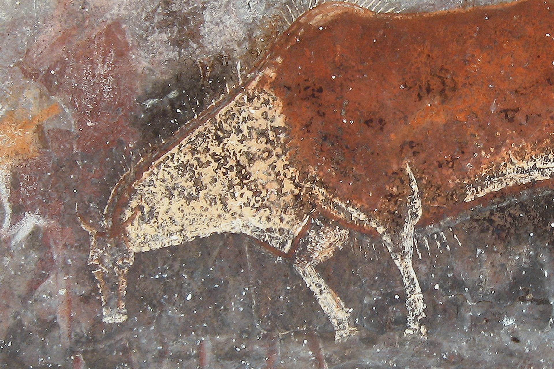 Dying Eland San Rock Art by San artist (n.d).