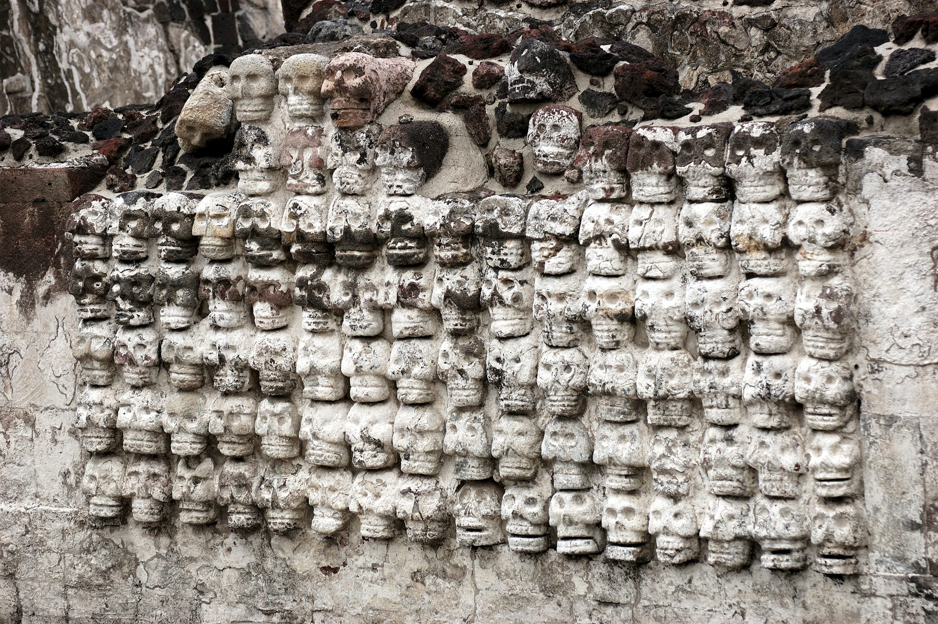 Stucco Relief Tzompantli Skulls Templo Mayor Mexico City iStock