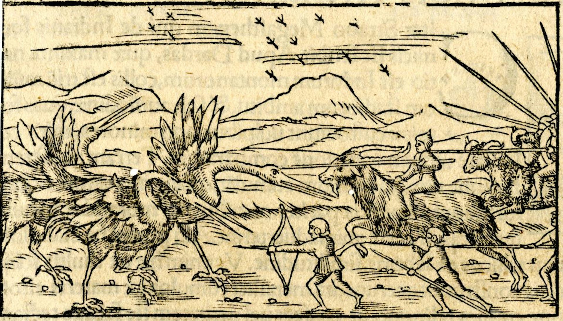 Woodcut showing the battle of the Pygmies and the cranes