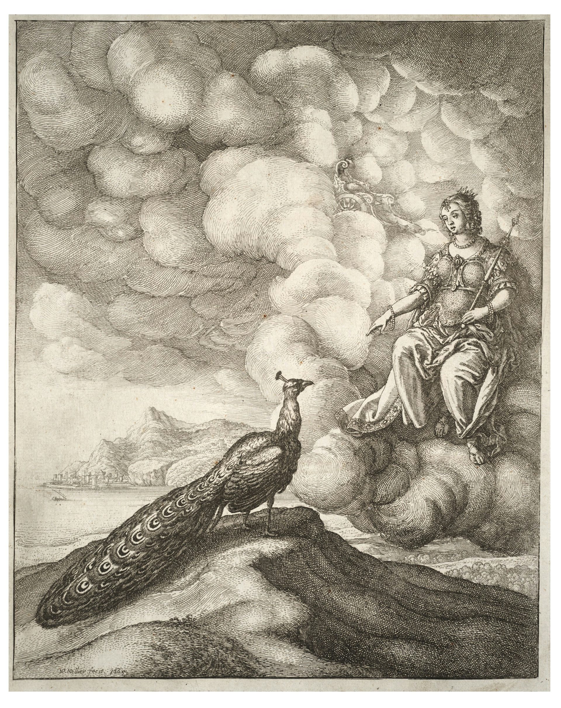 Juno and the Peacock by Wenceslaus Hollar