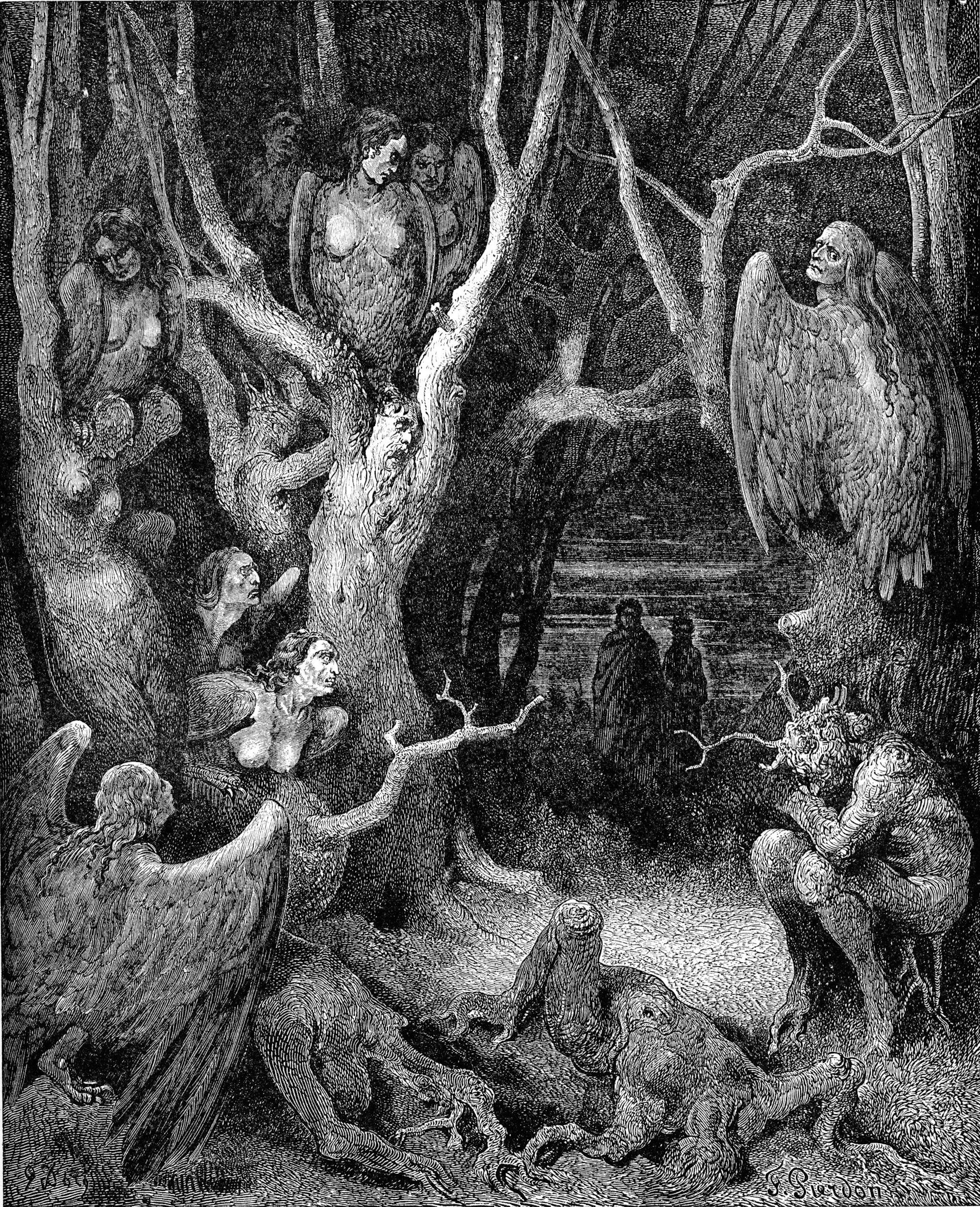 Illustration harpies in forest of suicides from Dante Inferno canto xiii by Gustave Doré, 19th century