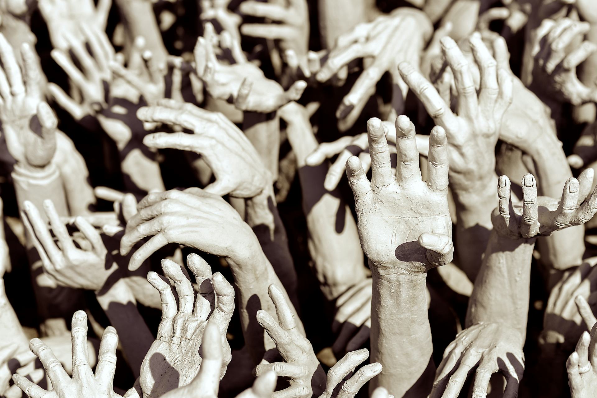 Photograph by kikujungboy via Adobe Stock (n.d.)