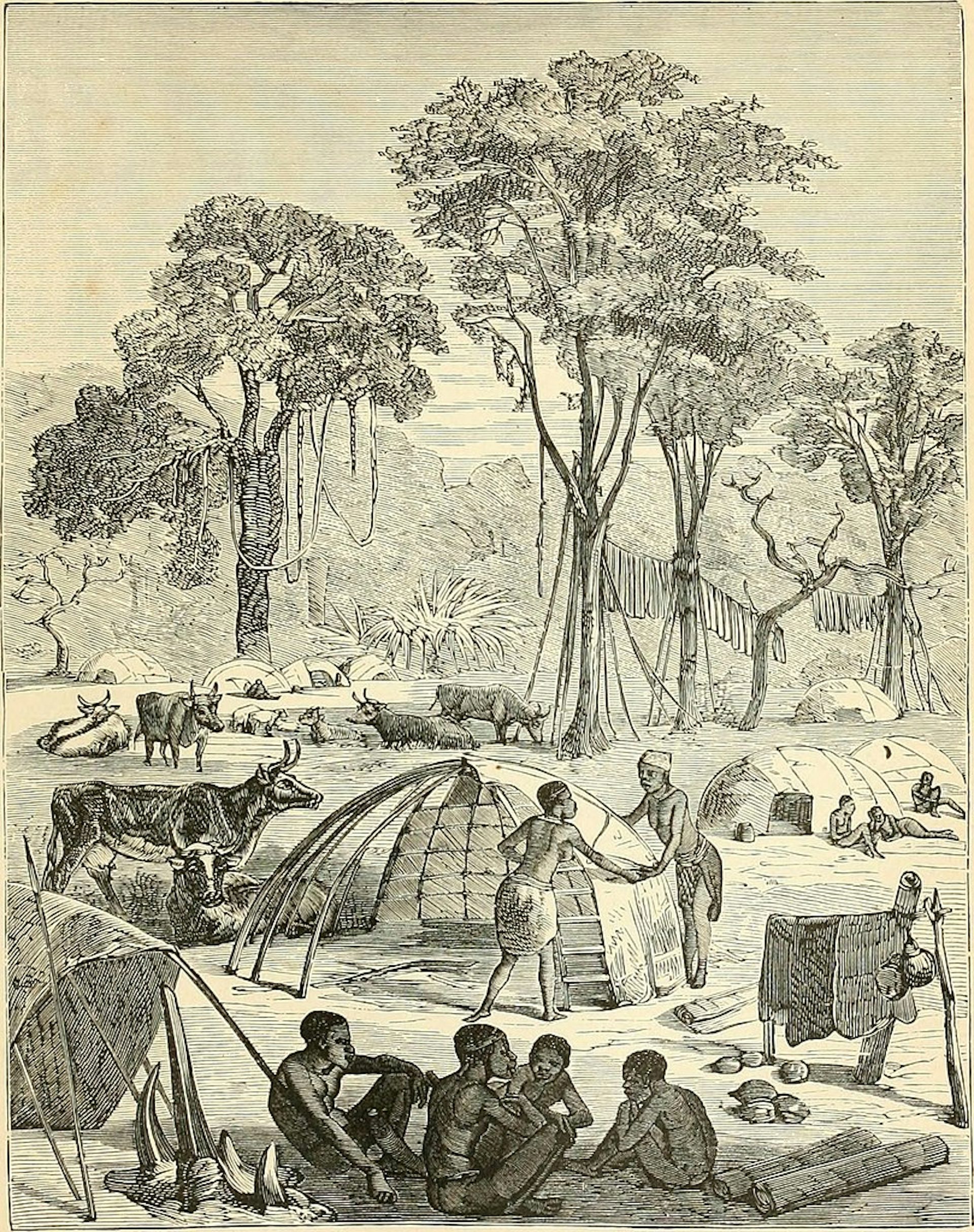 An illustration of Khoekhoe huts by John George Wood, (1878).