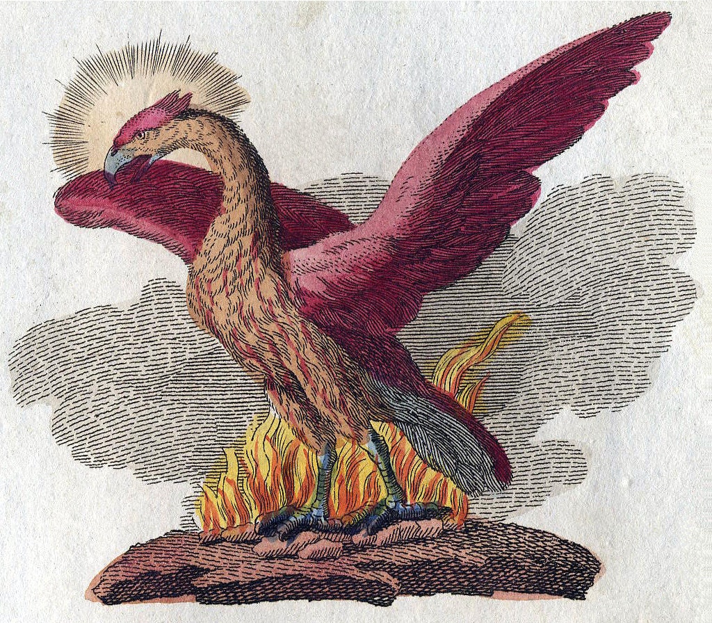 Phoenix illustration by Justin Bertuch, 1806