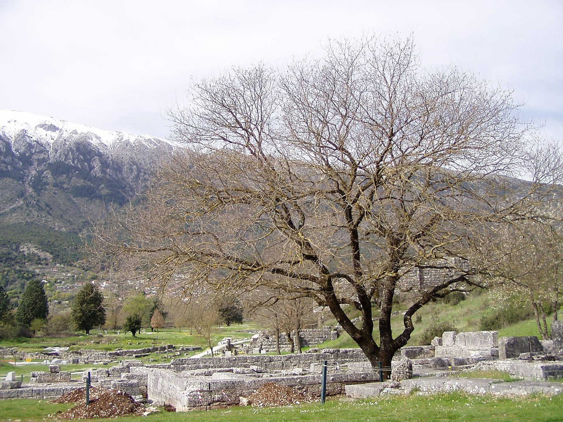 Ruins of the Temple of Zeus at Dodona