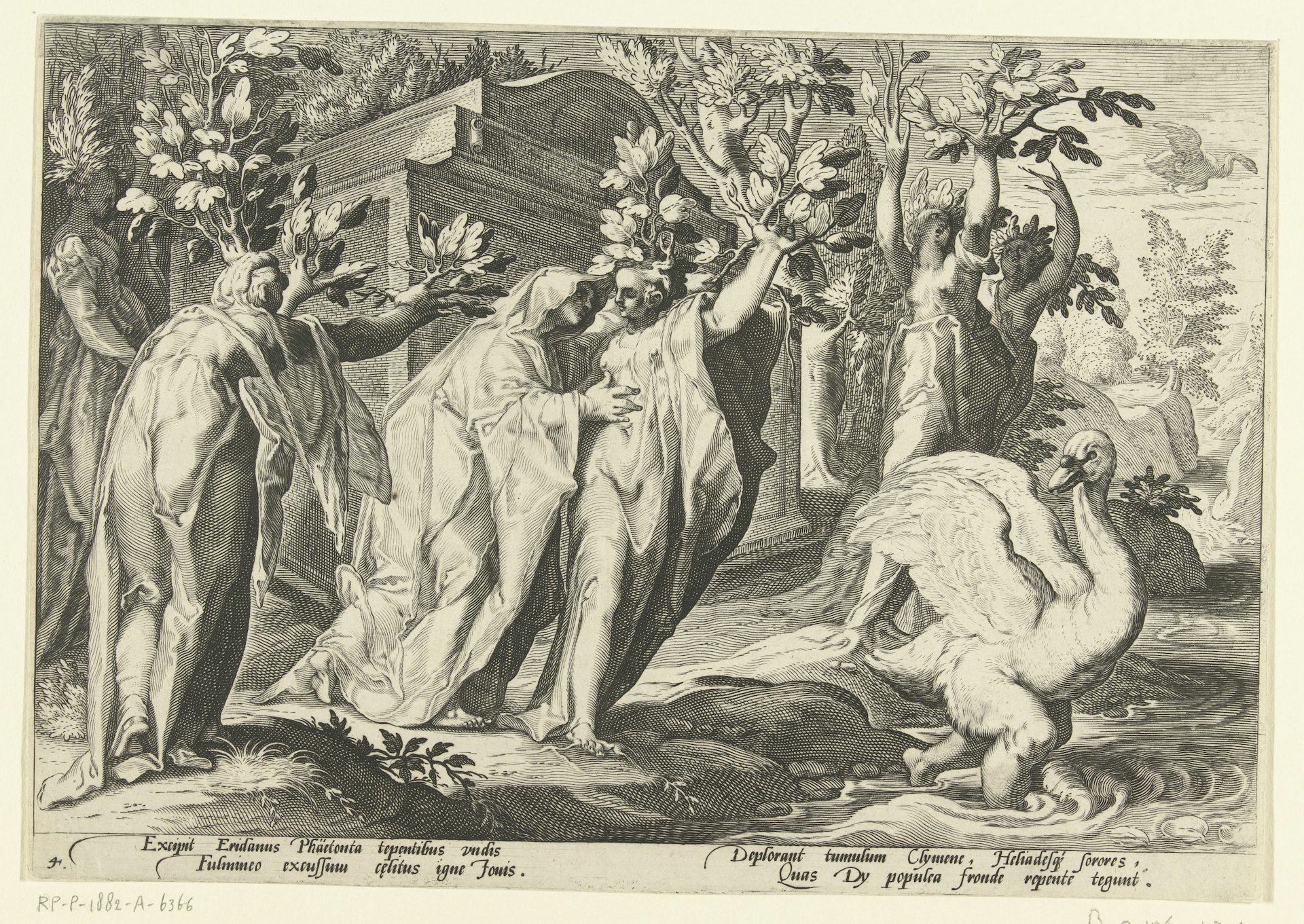 Print of the transformation of the Heliades and of Cycnus by Hendrick Goltzius