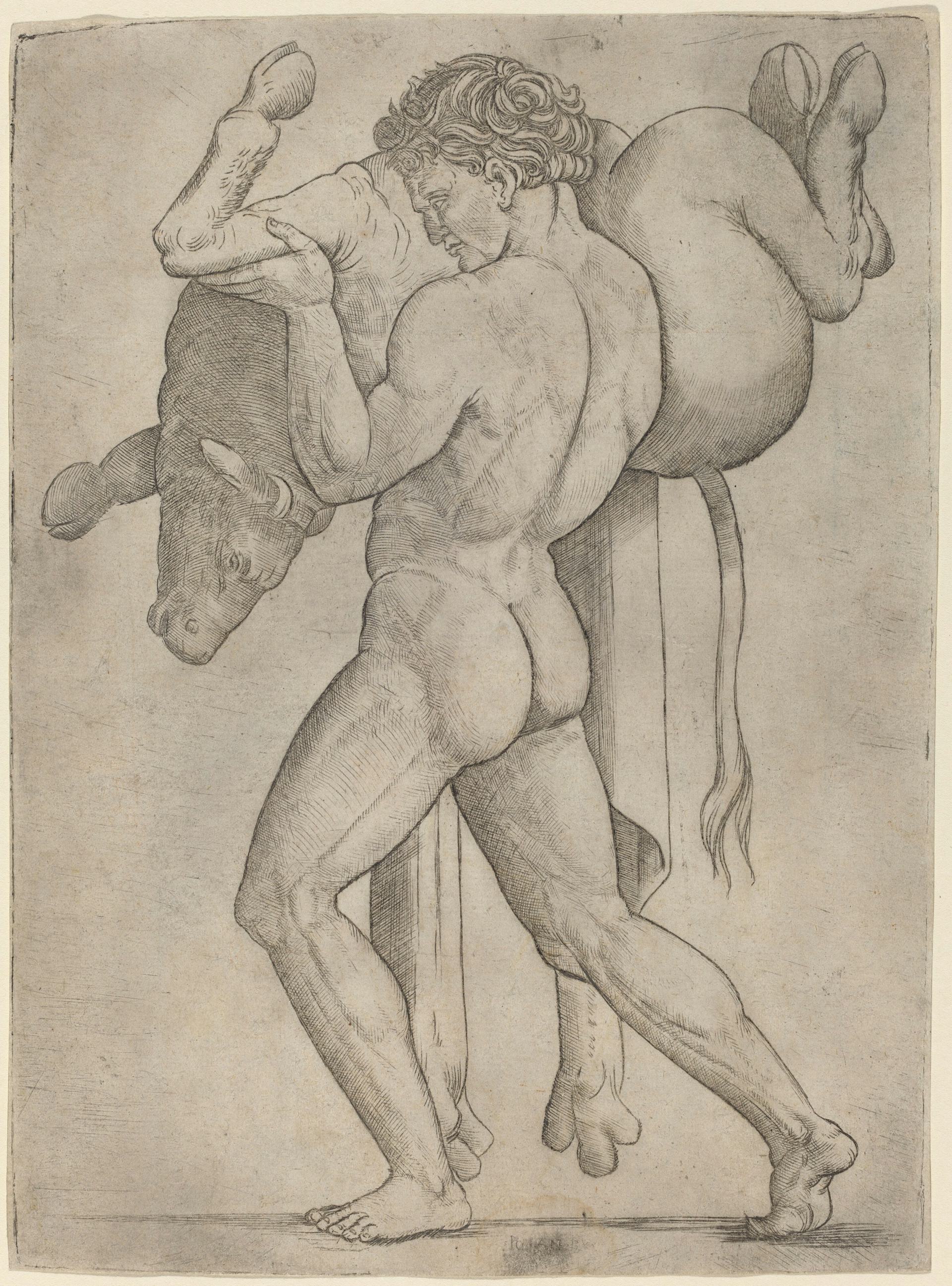 Hercules and the Cretan Bull by Giovanni Antonio da Brescia