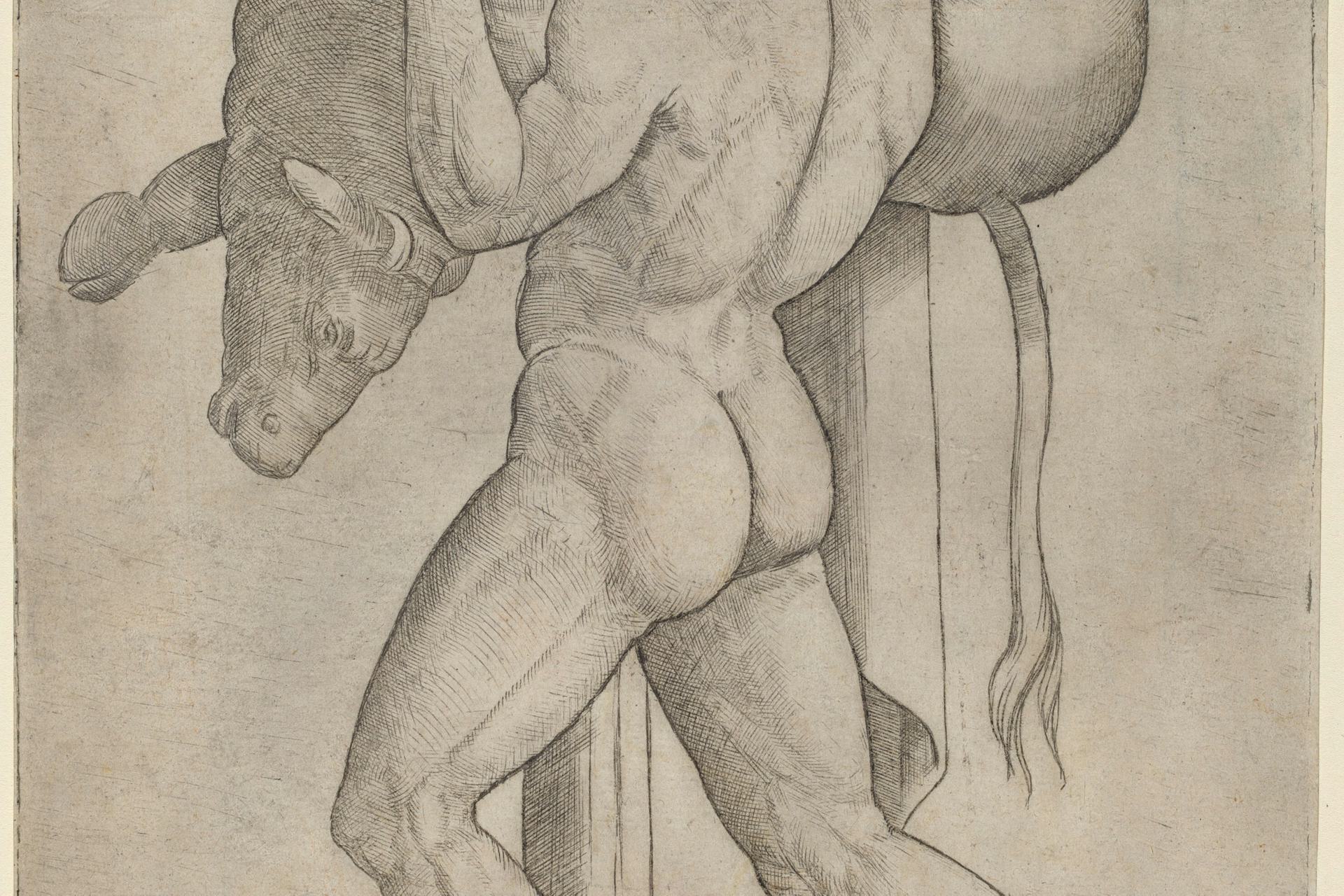 Hercules and the Cretan Bull by Giovanni Antonio da Brescia