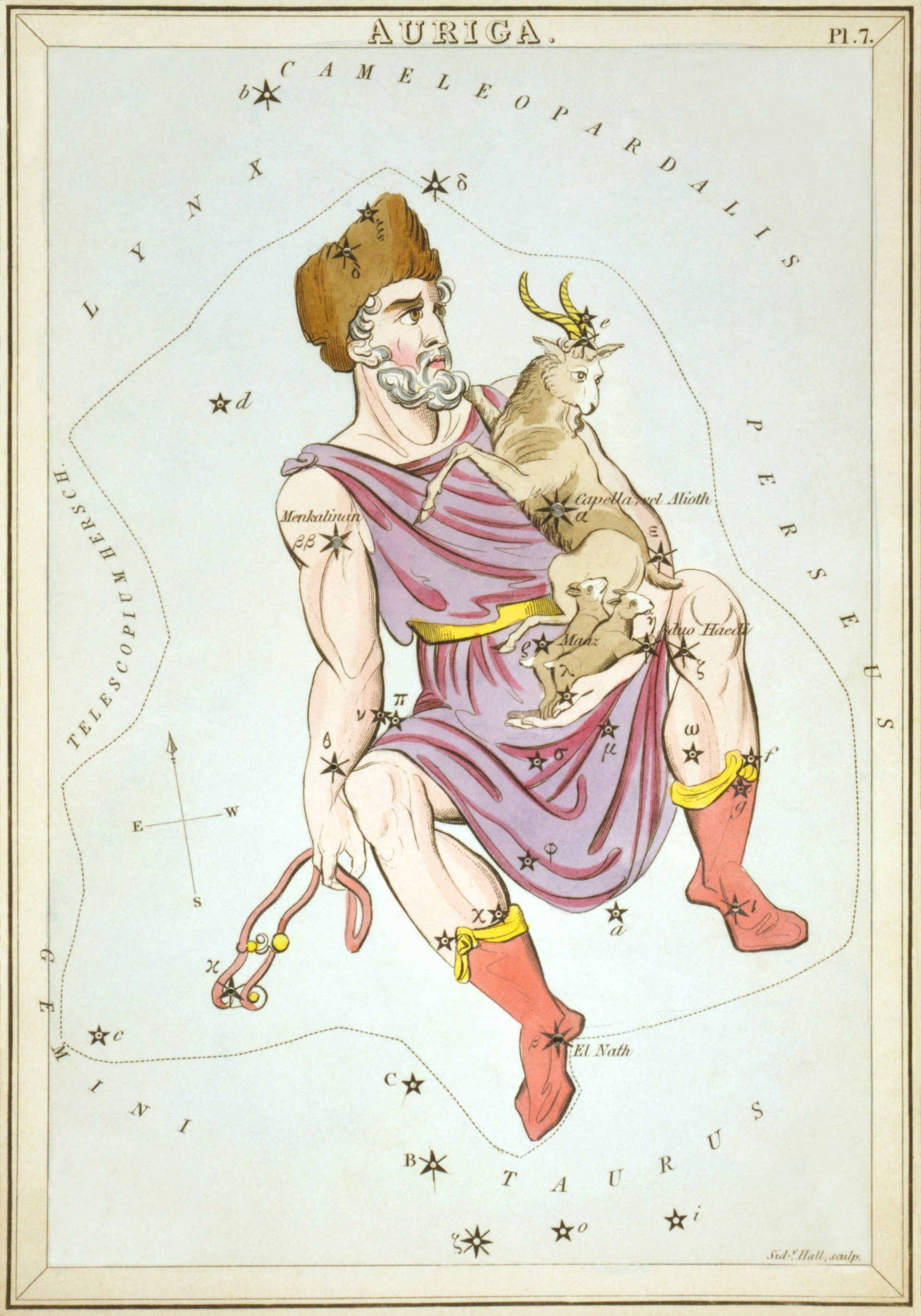 The constellation Auriga